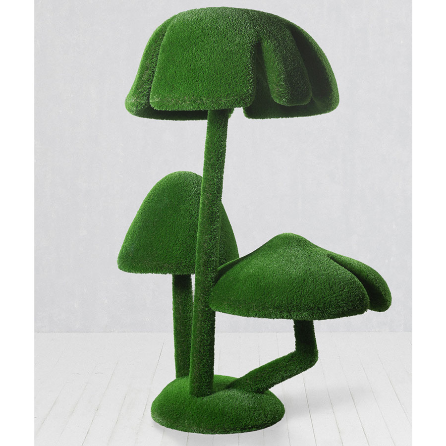 Honey Agaric Mushrooms Big