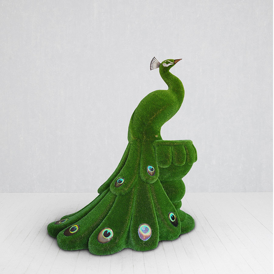 Peafowl On The Vase
